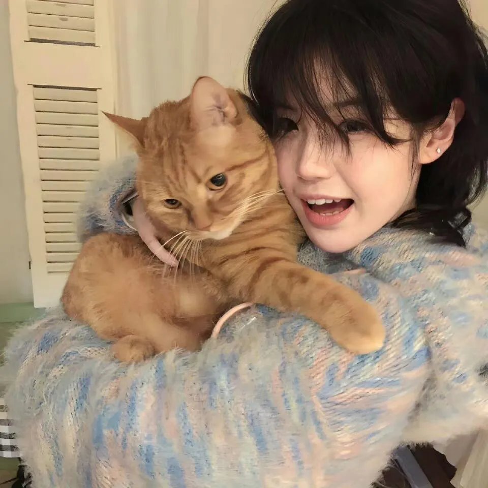 小淘气尼古拉:我们还在等什么才能快乐?